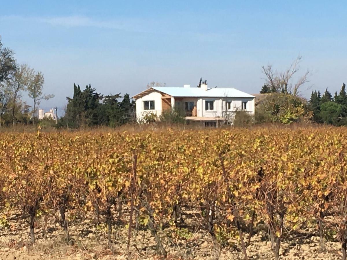 Domaine Limouzy Villa Narbonne Buitenkant foto